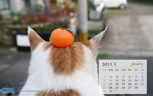 Обои картинки фото бренды, inaba