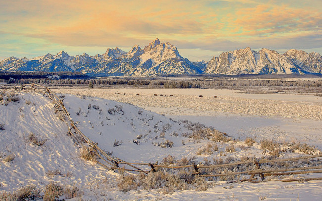 Обои картинки фото природа, зима