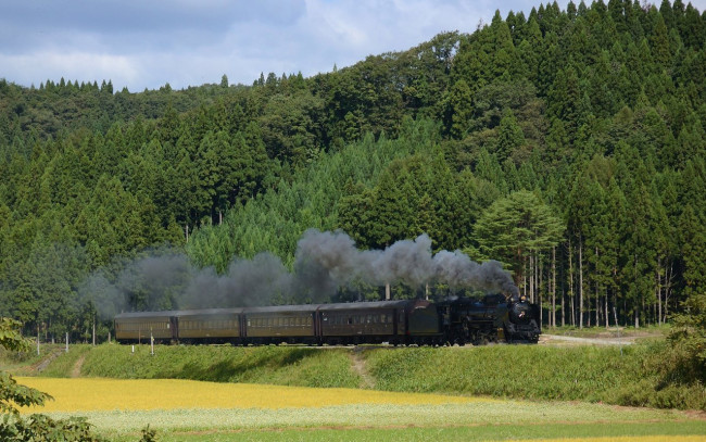 Обои картинки фото техника