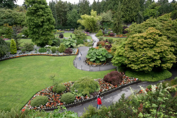 Картинка природа парк дорожки цветы деревья кусты клумбы