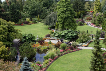 Картинка природа парк водоем клумбы цветы