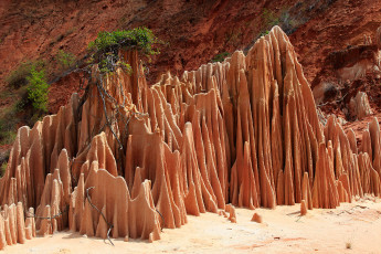 Картинка red tsingy мадагаскар природа камни минералы кусты скалы