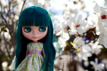 Картинка разное игрушки волосы магнолия кукла