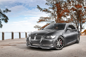 Картинка автомобили bmw деревья