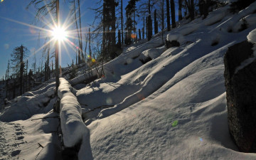 Картинка природа зима солнце снег