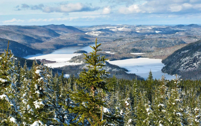 Обои картинки фото природа, реки, озера, ели, деревья, горы, озеро, пейзаж, зима