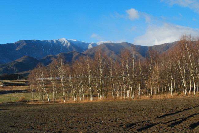 Обои картинки фото природа, деревья, горы, поле