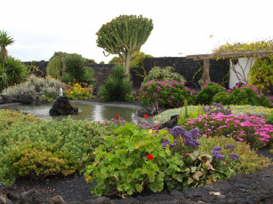 Картинка испания канарские ва тегисе природа парк цветы водоем