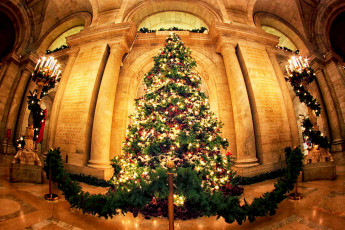 Картинка праздничные Ёлки ель нарядная