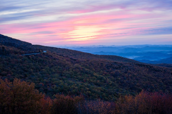Картинка природа лес деревья панорама небо
