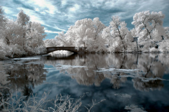 Картинка природа зима вода мост иней деревья