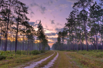 Картинка природа дороги деревья вечер