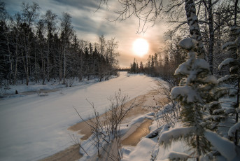 Картинка природа зима снег деревья