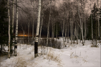 Картинка природа зима снег деревья