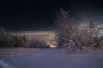 Картинка природа зима снег деревья