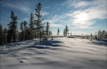Картинка природа зима снег деревья