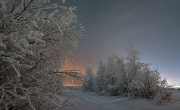 Картинка природа зима деревья снег