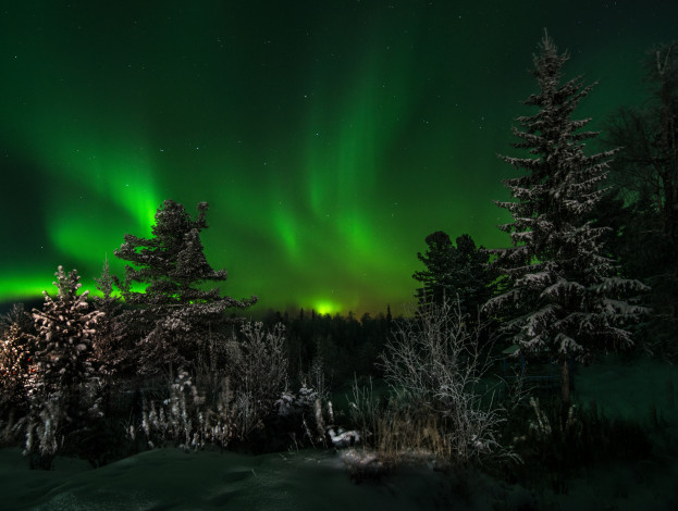 Обои картинки фото природа, северное сияние, сполохи