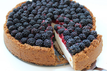 Картинка еда пироги чизкейк ягоды ежевика пирог кусок