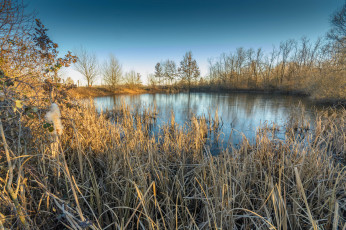 Картинка природа реки озера река лес