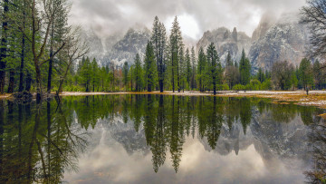 Картинка природа реки озера река лес