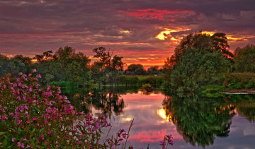 Картинка природа реки озера река лес