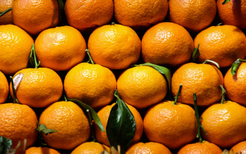 Картинка еда цитрусы мандарины