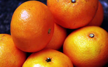 Картинка еда цитрусы мандарины