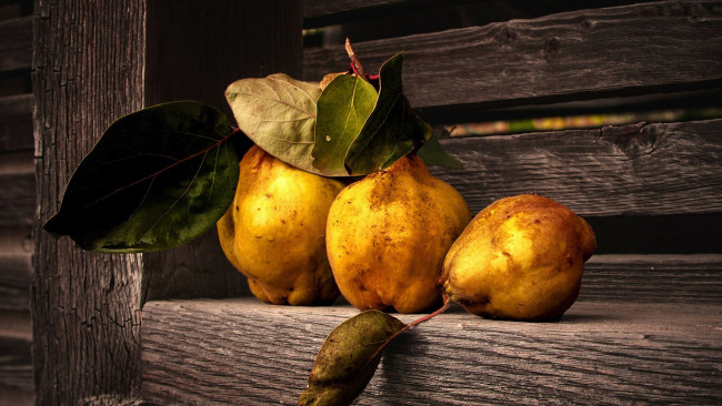 Обои картинки фото еда, груши, трио