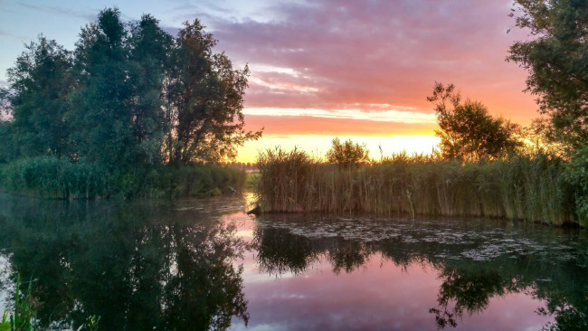 Обои картинки фото природа, реки, озера, река, лес