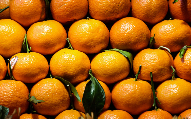 Обои картинки фото еда, цитрусы, мандарины
