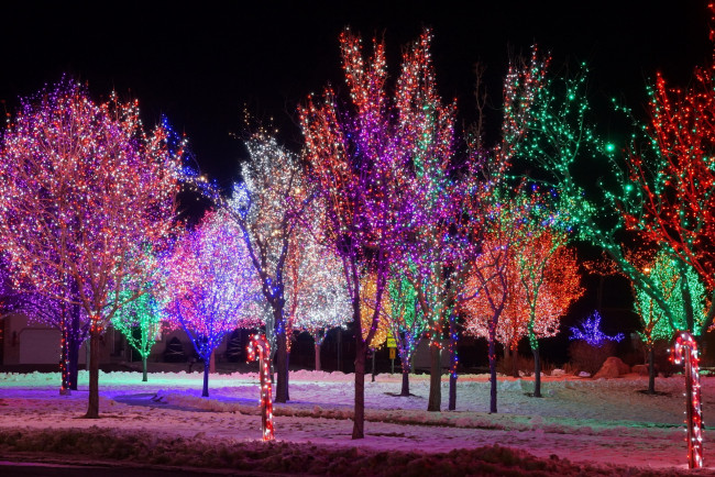 Обои картинки фото праздничные, новогодние пейзажи, иллюминация, деревья