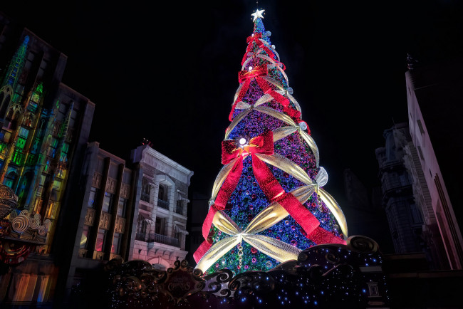 Обои картинки фото праздничные, Ёлки, елка, иллюминация, украшения, банты