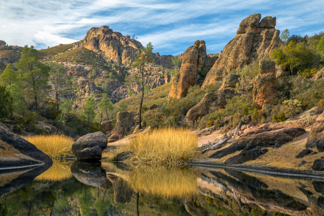 Обои картинки фото природа, реки, озера, река, лес