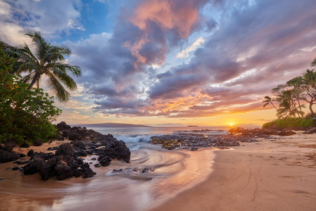 Обои картинки фото природа, тропики, песок, пляж, море, пальмы