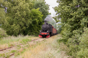 Картинка техника паровозы локомотив состав