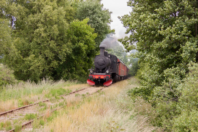 Обои картинки фото техника, паровозы, локомотив, состав