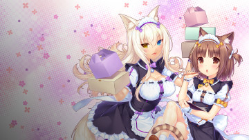 Картинка аниме nekopara девушки