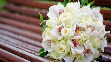 Картинка цветы букеты +композиции букет скамейка