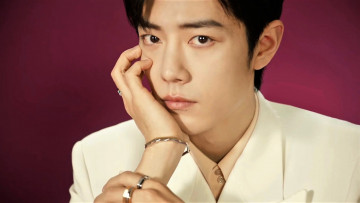 Картинка мужчины xiao+zhan лицо пиджак кольца браслет