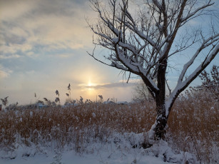 Картинка природа восходы закаты зима снег