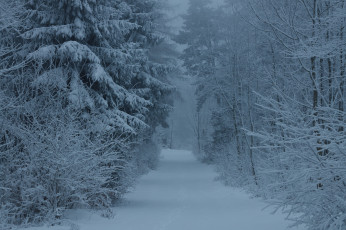 Картинка природа зима снег