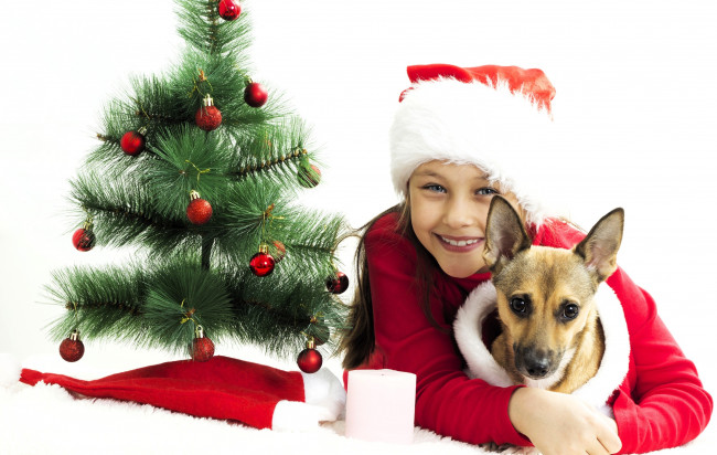 Обои картинки фото разное, дети, девочка, костюм, собака, ёлка