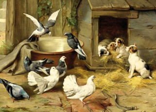 обоя рисованное, edgar hunt, голуби, горшок, конура, щенки, сено, сарай