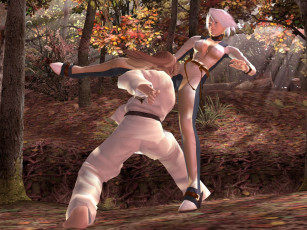 Картинка видео игры dead or alive seri