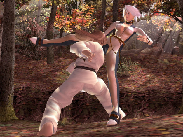 Обои картинки фото видео, игры, dead, or, alive, seri