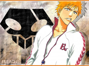 Картинка аниме bleach