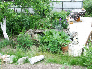 Картинка природа