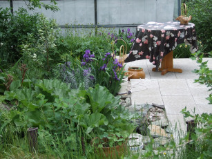 Картинка природа