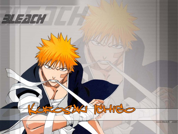 Обои картинки фото аниме, bleach